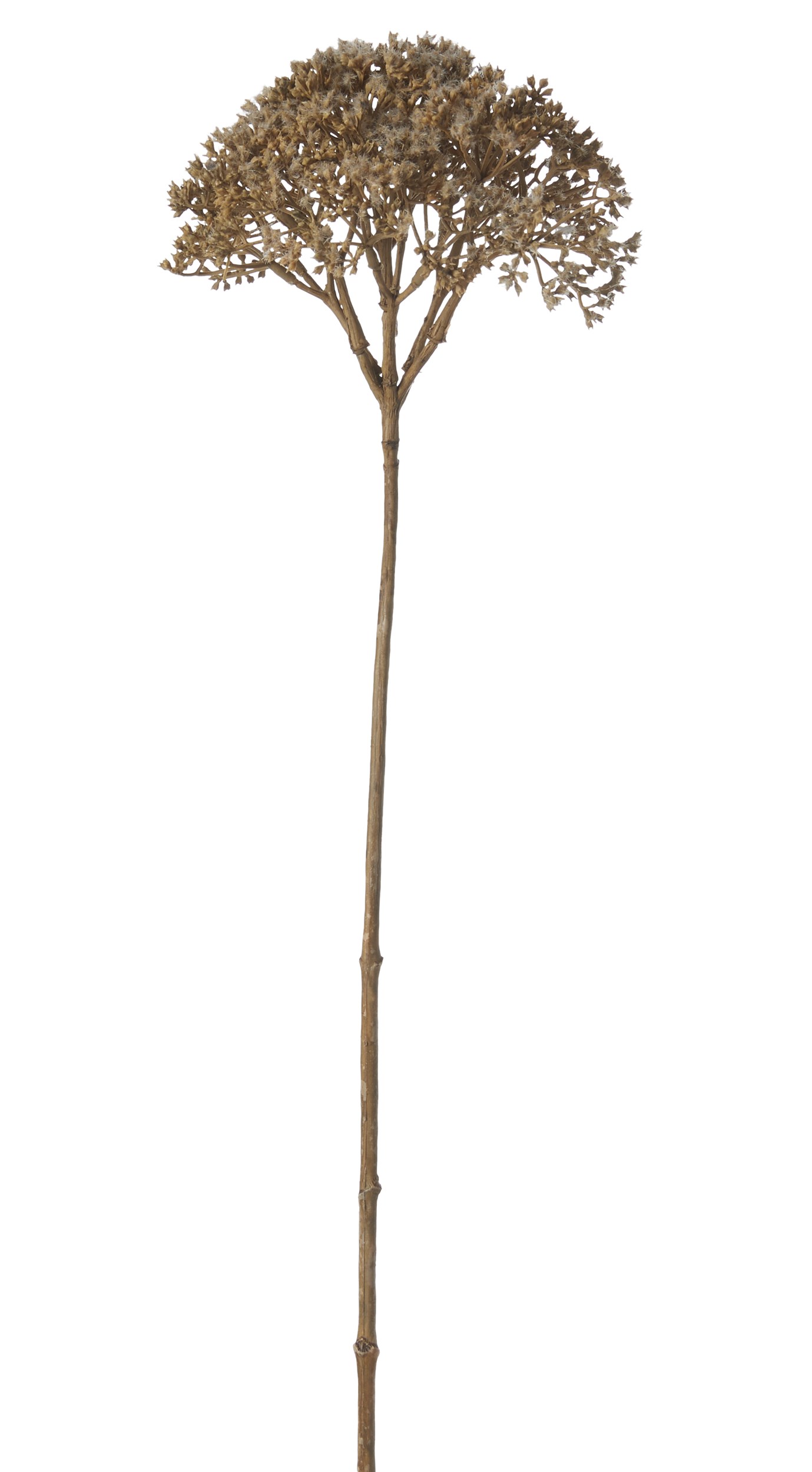 Dill konstgjord växt 70 cm 
