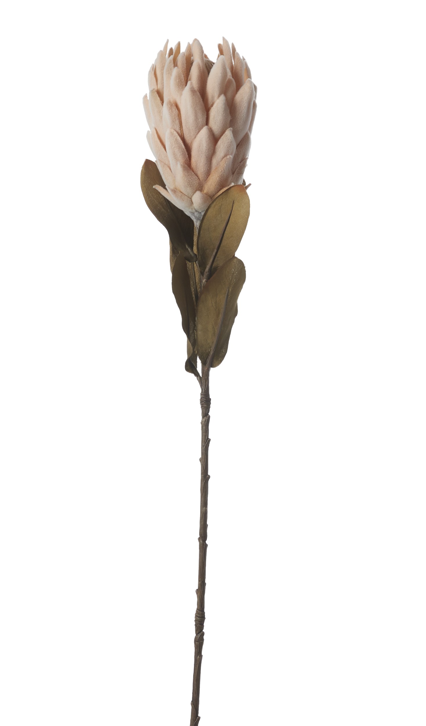 Protea konstgjord växt 62 cm 