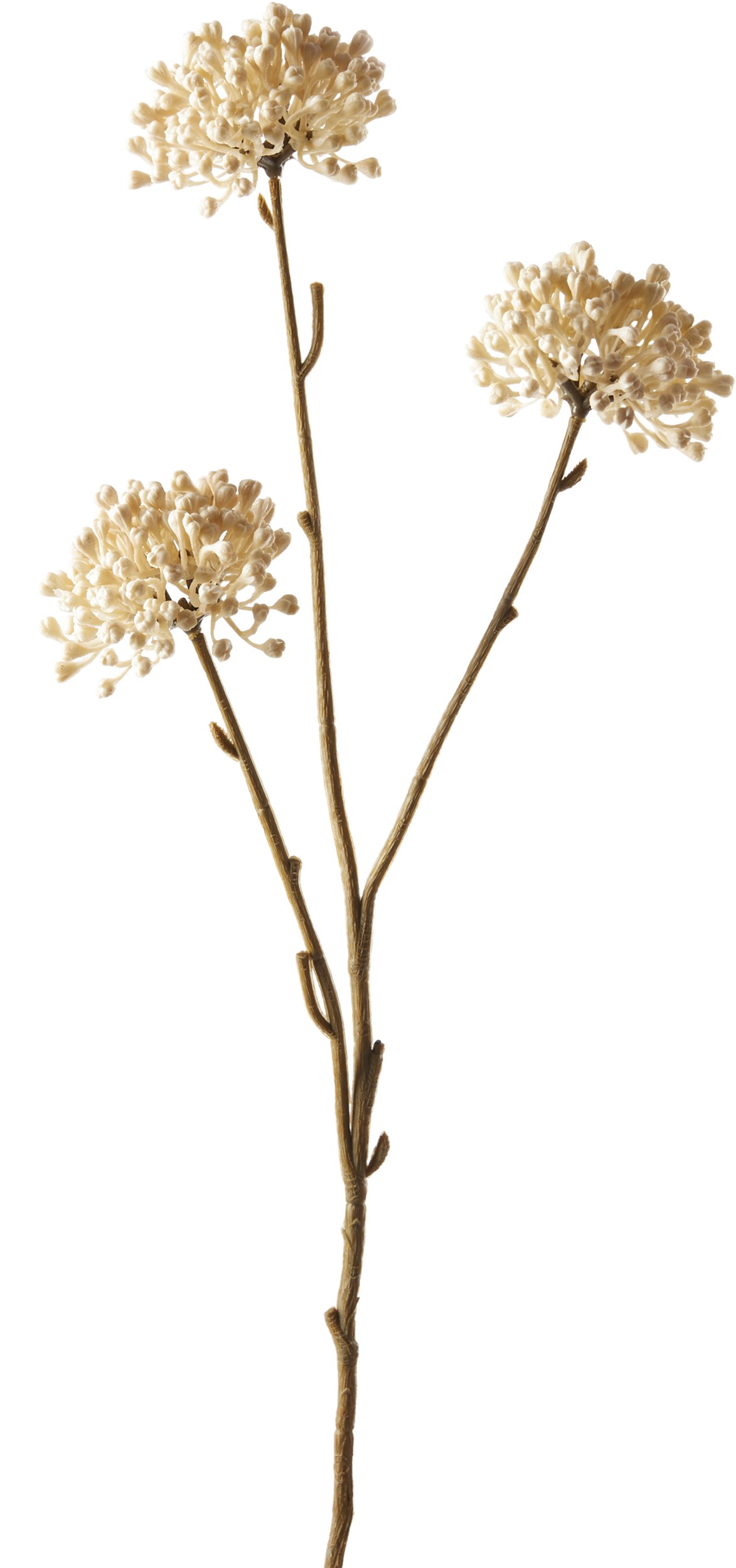 Allium 2024 konstgjord växt 58 x 14 cm 