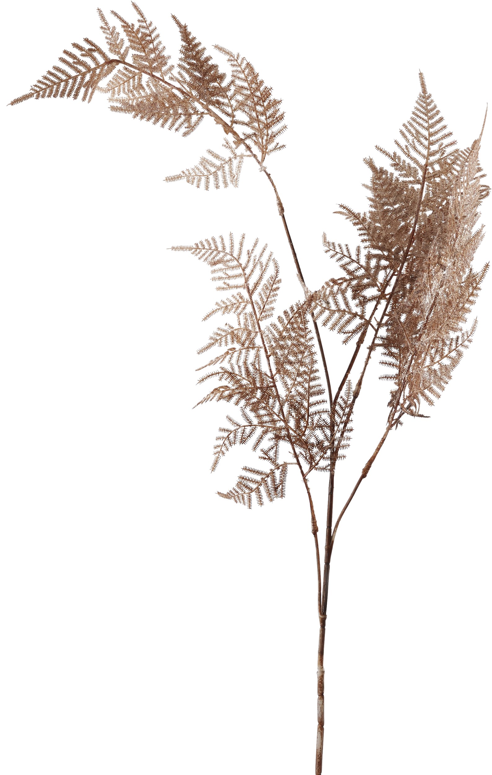 Asparagus 2024 konstgjord växt 110 x 40 cm 