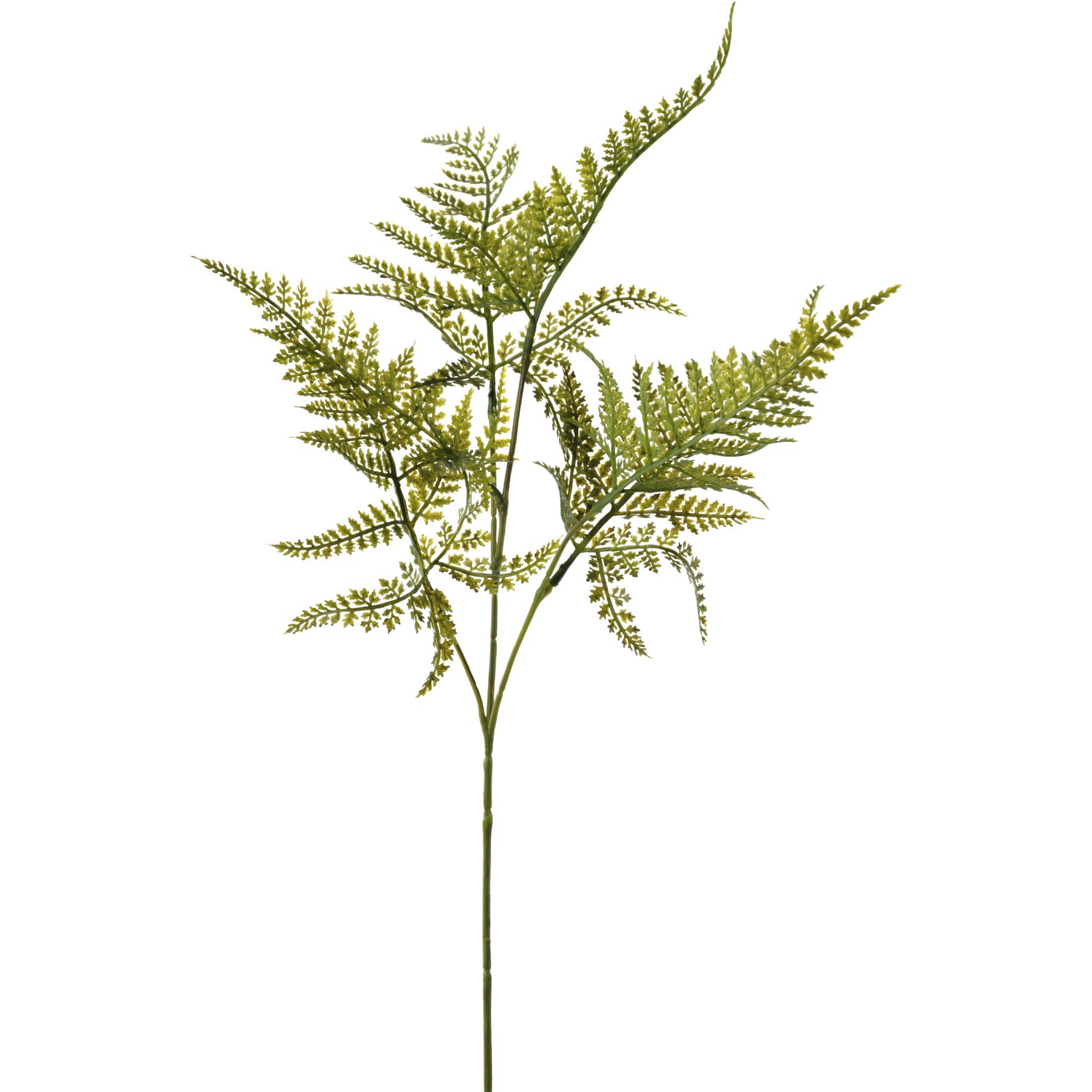 Billede af Bregne Kunstig plante 65 cm
